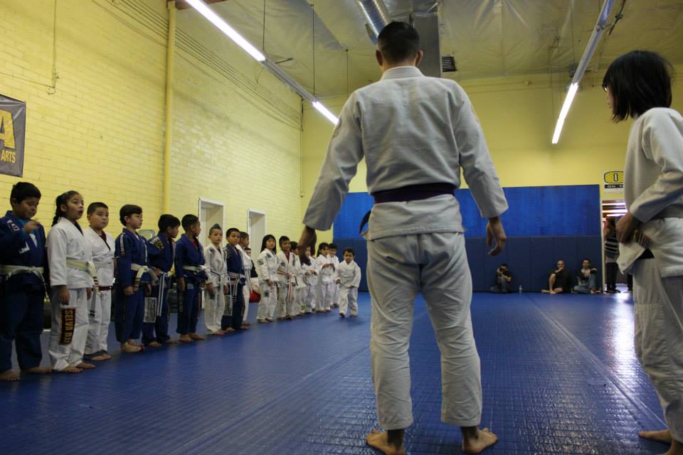 kids sport bjj